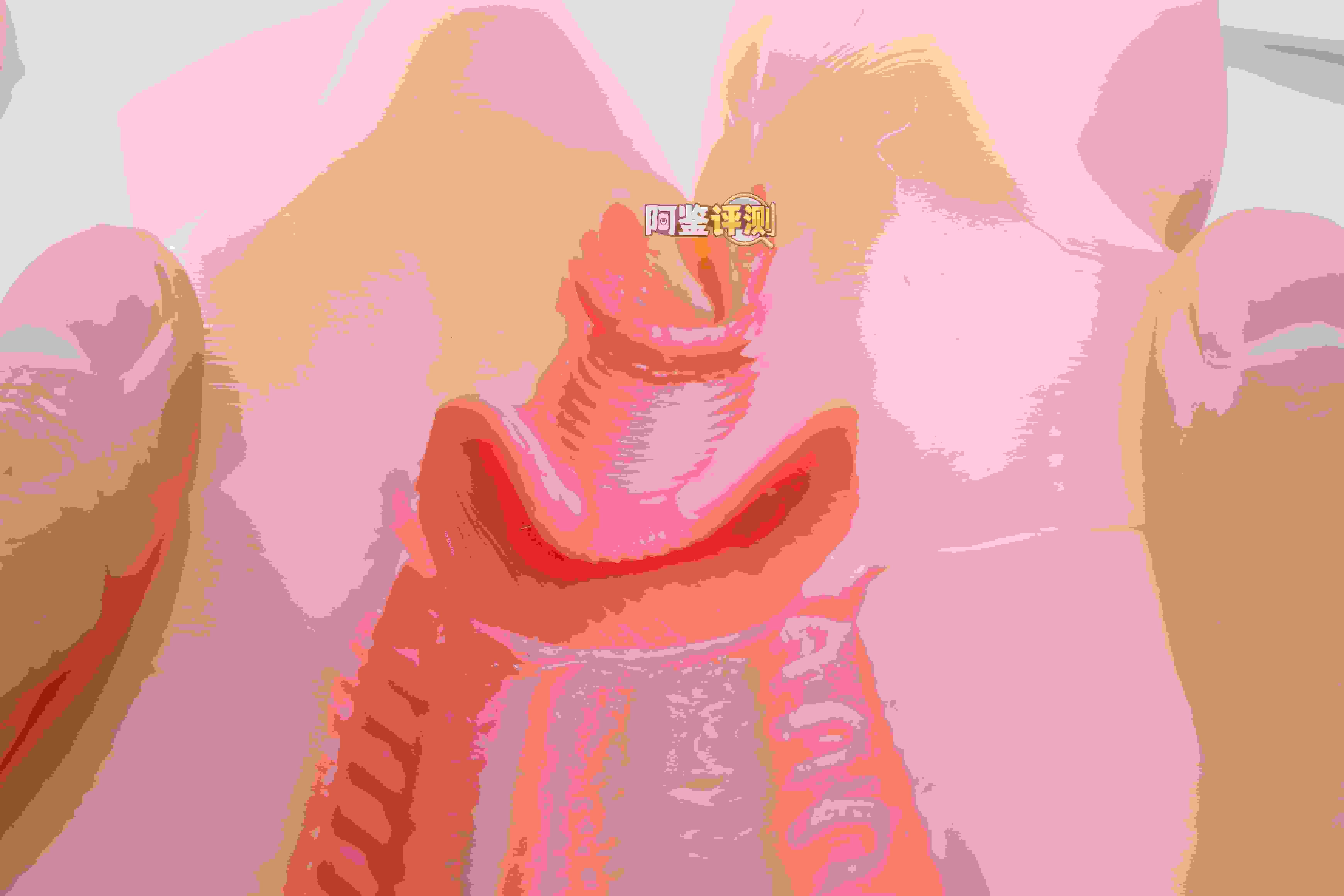 SUIKOMI——"卖杯子的小女孩"评测！这设计可以说是把子宫型杯子的缺点发挥到极致了.....