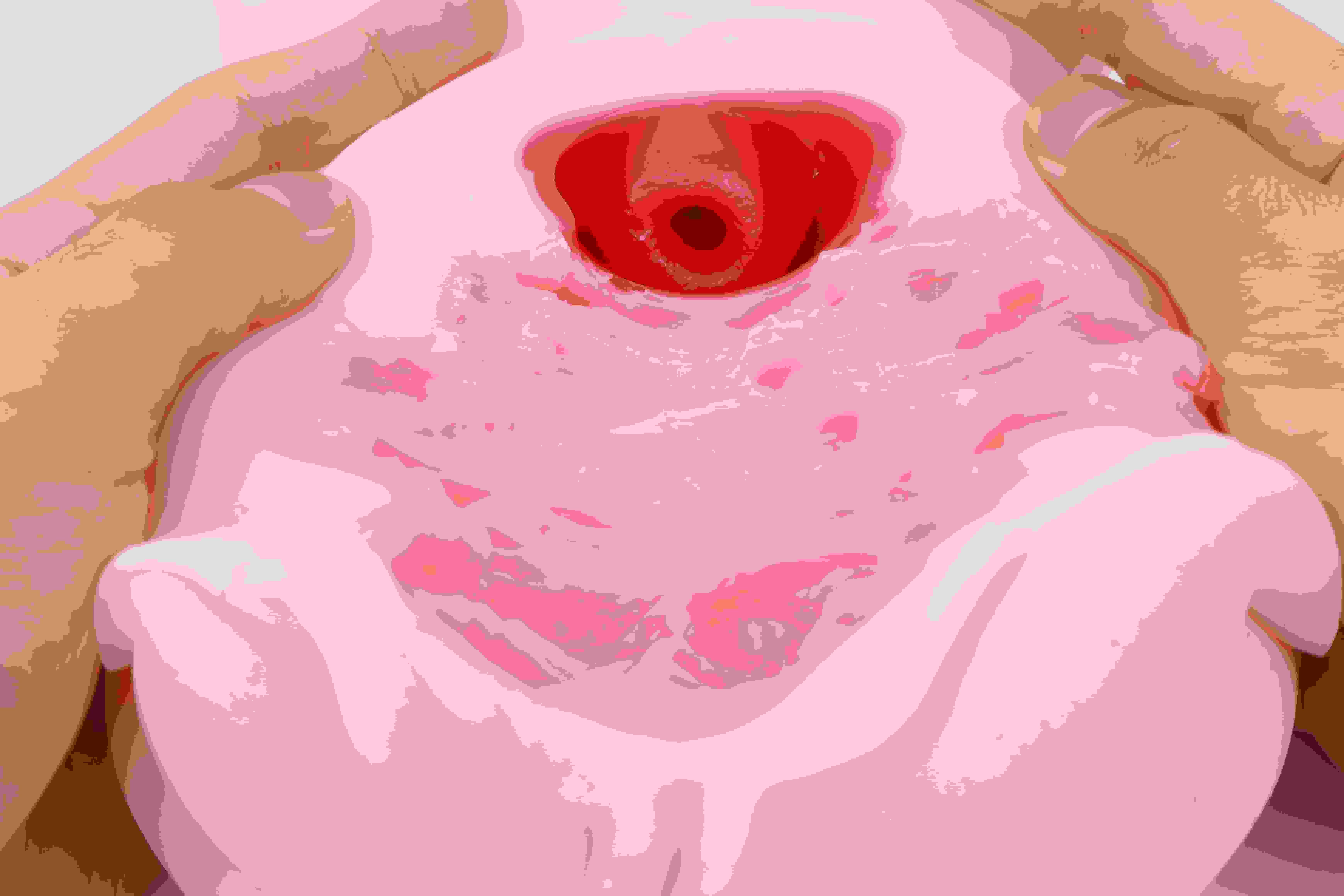 SUIKOMI——"卖杯子的小女孩"评测！这设计可以说是把子宫型杯子的缺点发挥到极致了.....