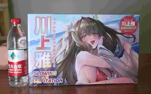 GXP-肉壁川上雅评测(大型倒模)!又一款床上使用的玩具,但是8.7kg!